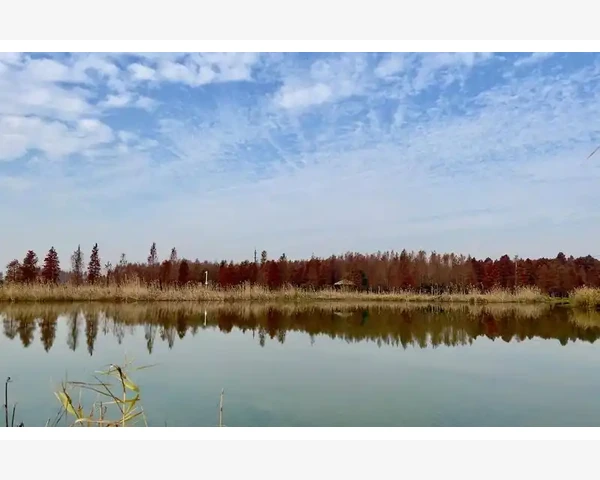 化痰止咳糖浆：抵御风寒，舒缓咳嗽