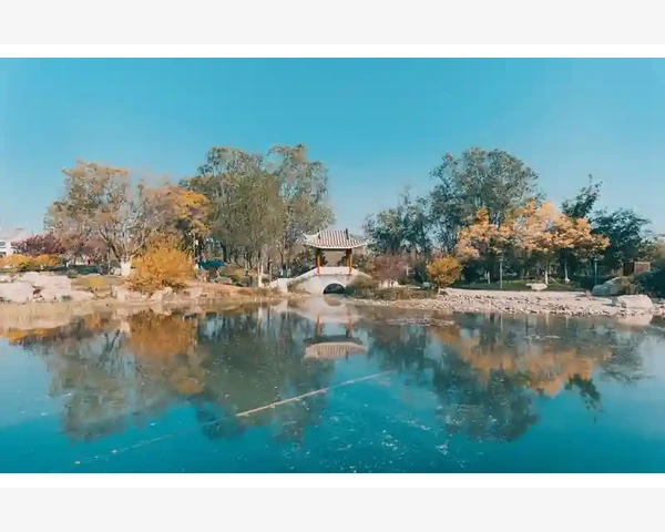 气血不足：生命力的隐忧