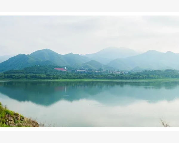 大腿后侧麻针灸效果明显，疗效有保障